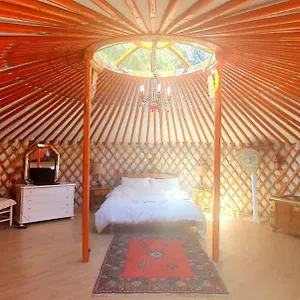 https://eldorado-yurt.es-andalucia.com